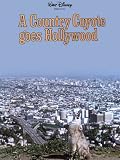 A Country Coyote Goes Hollywood