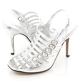 Wild Rose Monet08 Pumps Silver 6.5 Silver