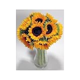 10 Premium Sunflowers