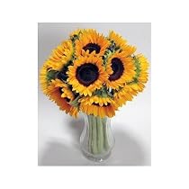 10 Premium Sunflowers