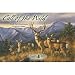Call of the Wild Blank Greeting Card Assortment (Deer, Elk, Moose)