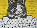 Search : A Cat in a Basket: Words and Pictures by Gordon Graham