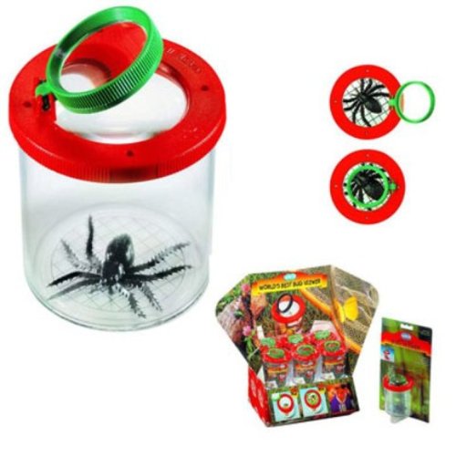 Childrens Toyshop  Toys : Bug Box