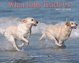 What Labs Teach Us 2009 Calendar