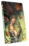 The Art Of Top Cow