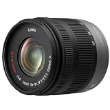 Panasonic Lumix 14-42mm f/3.5-5.6 G Vario Aspherical MEGA OIS Lens