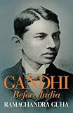 Gandhi before India