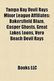 Tampa Bay Devil Rays Minor League Affiliates: Bakersfield Blaze, Casper Ghosts, Great Lakes Loons, Vero Beach Devil Rays