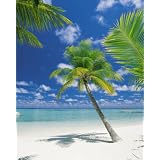 Buy Brewster 4-883 Ari Atoll 4 Panel Mural with Paste, 6-Foot by 8-Foot 4-Inch by Brewster
