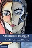 Consciousness and the self : new essays