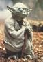 Star Wars: Episode V - The Empire Strikes Back - Movie Poster: Yoda (Size: 27'' x 40'')