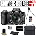 Sony Cybershot DSCH50 9.1MP Digital Camera + 4GB Accessory Kit