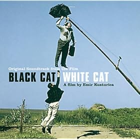 Chat Noir Chat Blanc