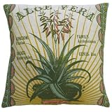 Koko Botanica Decorative Pillow - Aloe Vera - 20