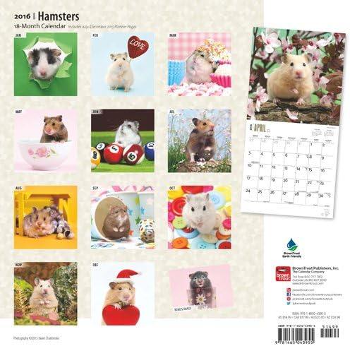 Hamsters 2016 Square 12x12 (Multilingual Edition)