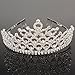 Follsy Charming Rhinestone Heart Flower Design Tiara Crown Headband Comb Pin Wedding Bridal Party Birthday Tiaras