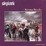 Raining Bicycles