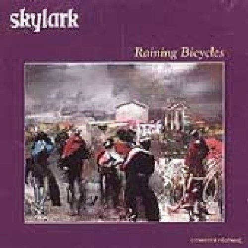 RAINING BICYCLES