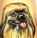 Russian Nesting Doll Dog Cavalier King Charles Spaniel Schnauzer Doberman pinscher English Cocker Spaniel Chihuahua 5 Pc / 7in #dg23