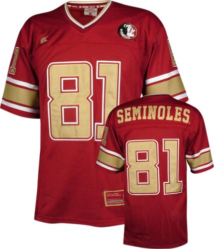 Buy Florida State Seminoles All Time Team Color Football Jersey