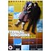 Eternal Sunshine Of The Spotless Mind - Special Edition (Two Disc Set) [2004]