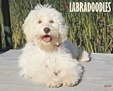Labradoodles 2010 Wall Calendar 13
