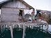 Bajau Family in Stilt House Over the Sea, with Fish Drying on Platform Outside, Sabah...