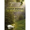 Duck Ponds & Swan Lakes
