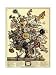 November - Robert Furber Art Print Poster 15 x 20