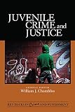 Juvenile crime and justice