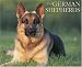 Just German Shepherds 2009 Wall Calendar
