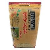 特別栽培米 大潟村あきたこまち 発芽玄米鉄分 1kg