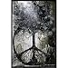 Tree Of Peace Poster David Wolcott Wilhelm 24X36 726