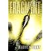Fragment: A Novel