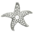 Sterling Silver Colorless Cubic Zirconia Starfish Pin .925 Stamp Hypoallergenic