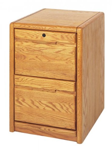 Kathy Ireland Home by Martin Furniture Contemporary 2 Drawer Vertical Wood File Storage Cabinet in Oak