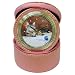 Limited Edition Violano Jewelry Case Travel Alarm Clock Tabby Cat