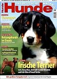Hunde Magazin