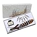 Feather Quill Pen Set Dip Pen with Ink Vintage Feather Calligraphy Ink Pen Quill Fountain Pen in Gift Box with 6 PCS Nibs, Birthday Wedding Christmas Gift Set