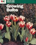 518%2BDXr0a L. SL160  Growing Bulbs (Step By Step Visual Guide)