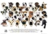 The Dog (Chart) Art Poster Print - 24