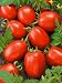 Viva Italia Hybrid Tomato Seeds - Lycopersicon Esculentum - 0.2 Grams - Approx 70 Gardening Seeds - Vegetable Garden Seed