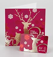 Winter in Wonderland Gift Card