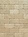 Ivory (Light) Travertine 3 X 6 Subway Field Tile, Tumbled