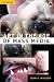 Art in the Age of Mass Media