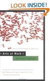 Ants at Work: How an Insect Society is Organized