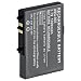 Wentronic Ersatzakku f�r Nintendo DS Lite (USG-003) 1000mAh