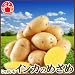 敬老の日 じゃがいも インカのめざめ L/Mサイズ 10キロ