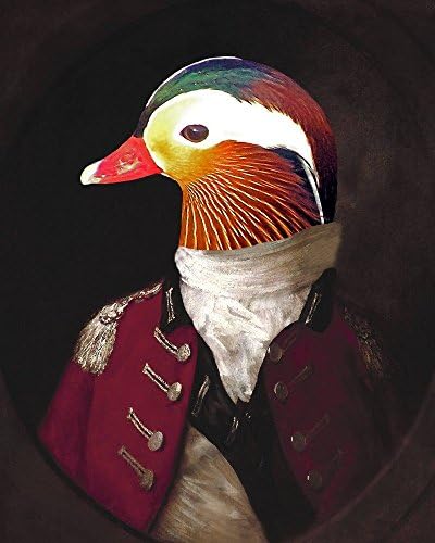 MANDARIN Duck Man General portrait Victorian altered art anthro print