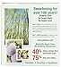 Emerald Forest Xylitol Sweetenr Packets, 100 Count Single Serve Packets (Pack of 6)